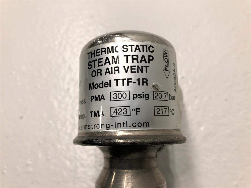 Armstrong 3/4" NPT SS Thermostatic Steam Trap or Air Vent TTF-1R, 300 PSIG